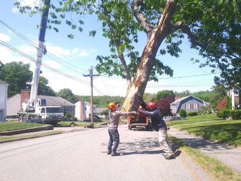 Two crew members guiding a large trunk section on a residential street, with a crane truck in the background