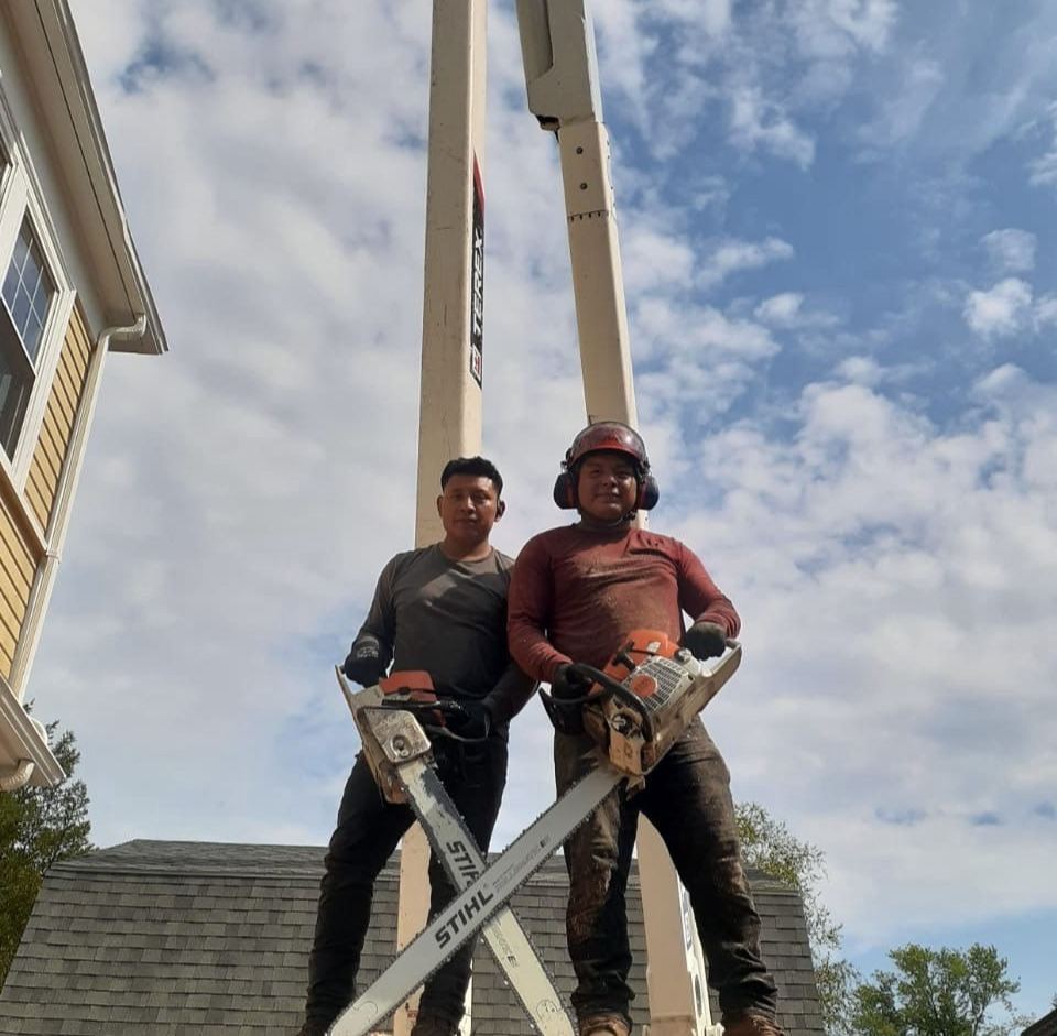 Two Keith's Tree Service crew members holding chainsaws, standing in front of a lift boom