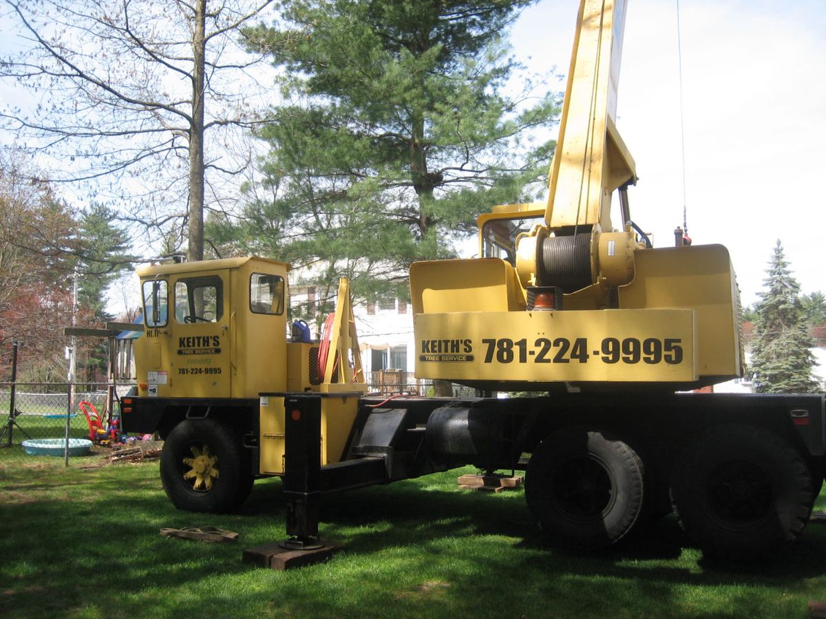 Keith's Tree Service yellow crane truck, lettered with the company name and phone number, set up on outriggers in a backyard