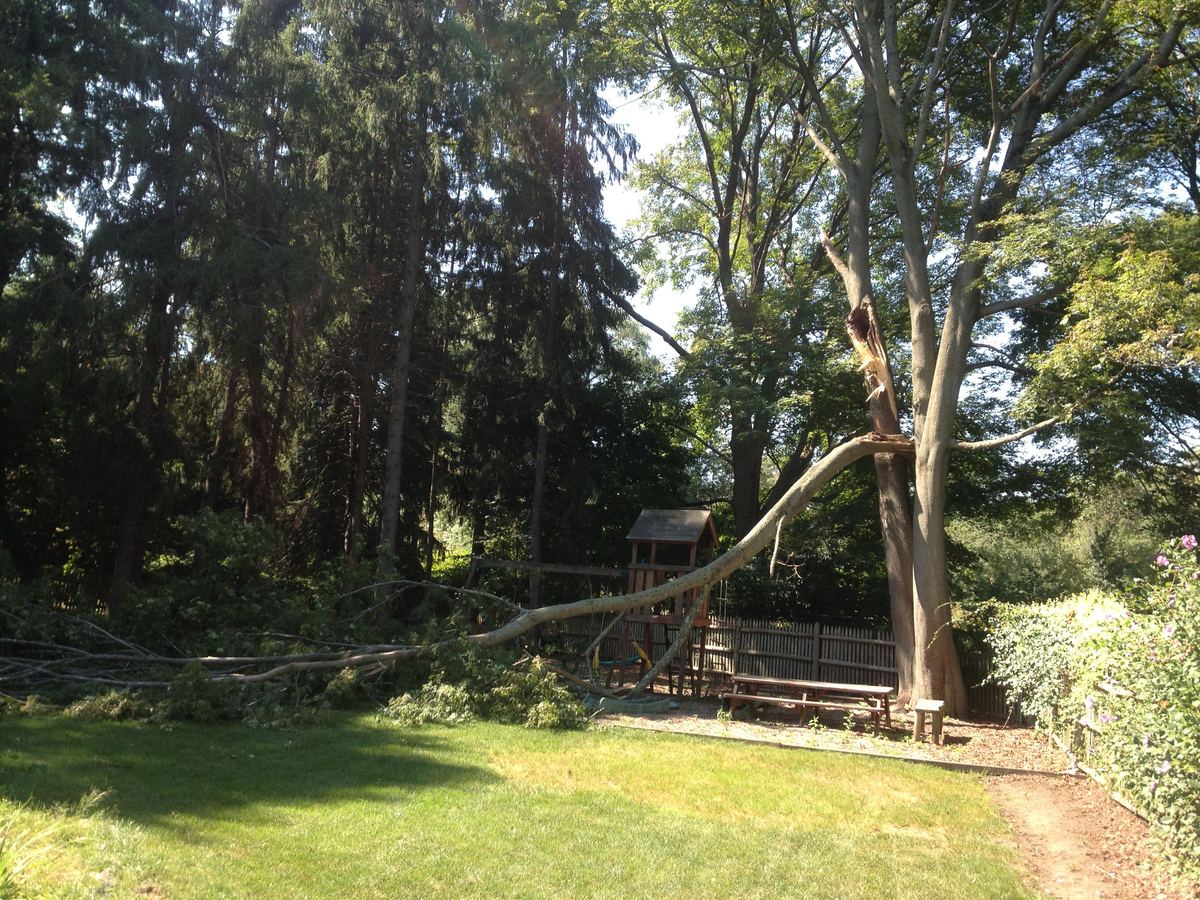 A large limb torn from a tree trunk lying across a backyard beside a wooden play set