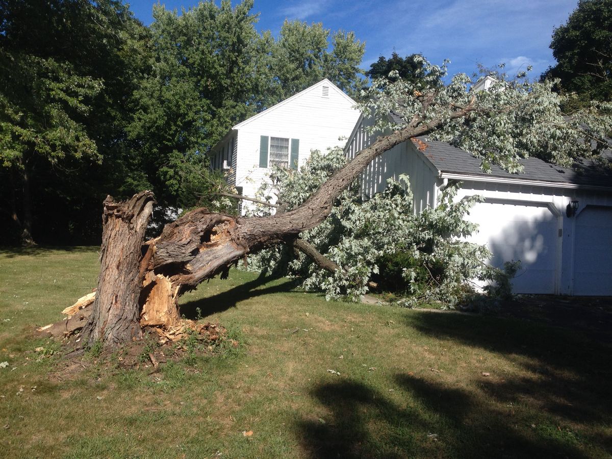 A split tree fallen across a lawn and onto a house and garage after a storm