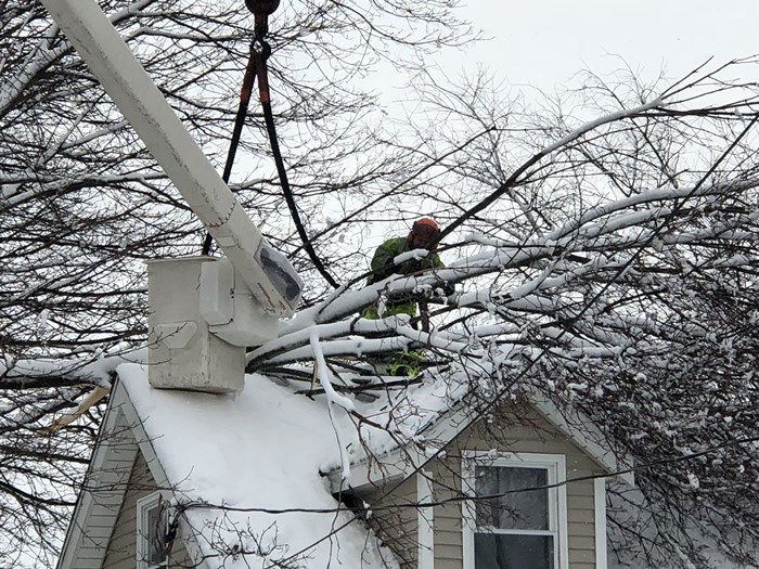 Crew member in a bucket removing snow-covered limbs from over a house roof